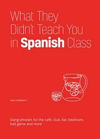 What They Didn't Teach You in Spanish Class