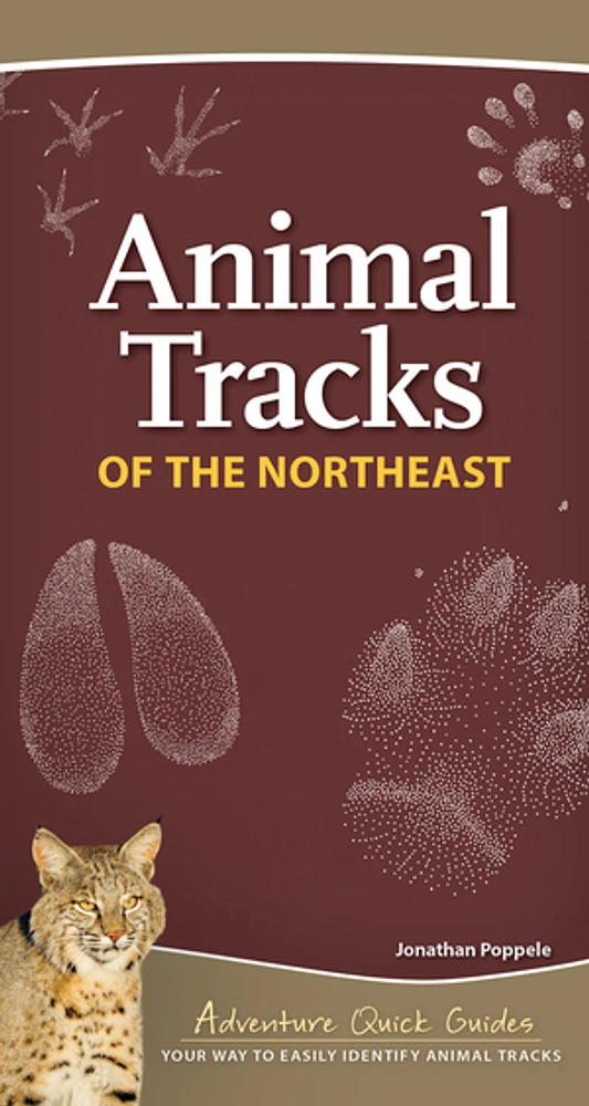 Animal Tracks of the Northeast