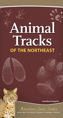 Animal Tracks of the Northeast