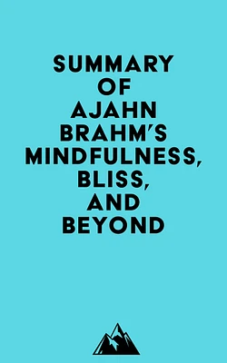 Summary of Ajahn Brahm's Mindfulness, Bliss, and Beyond