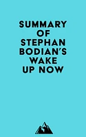 Summary of Stephan Bodian's Wake Up Now