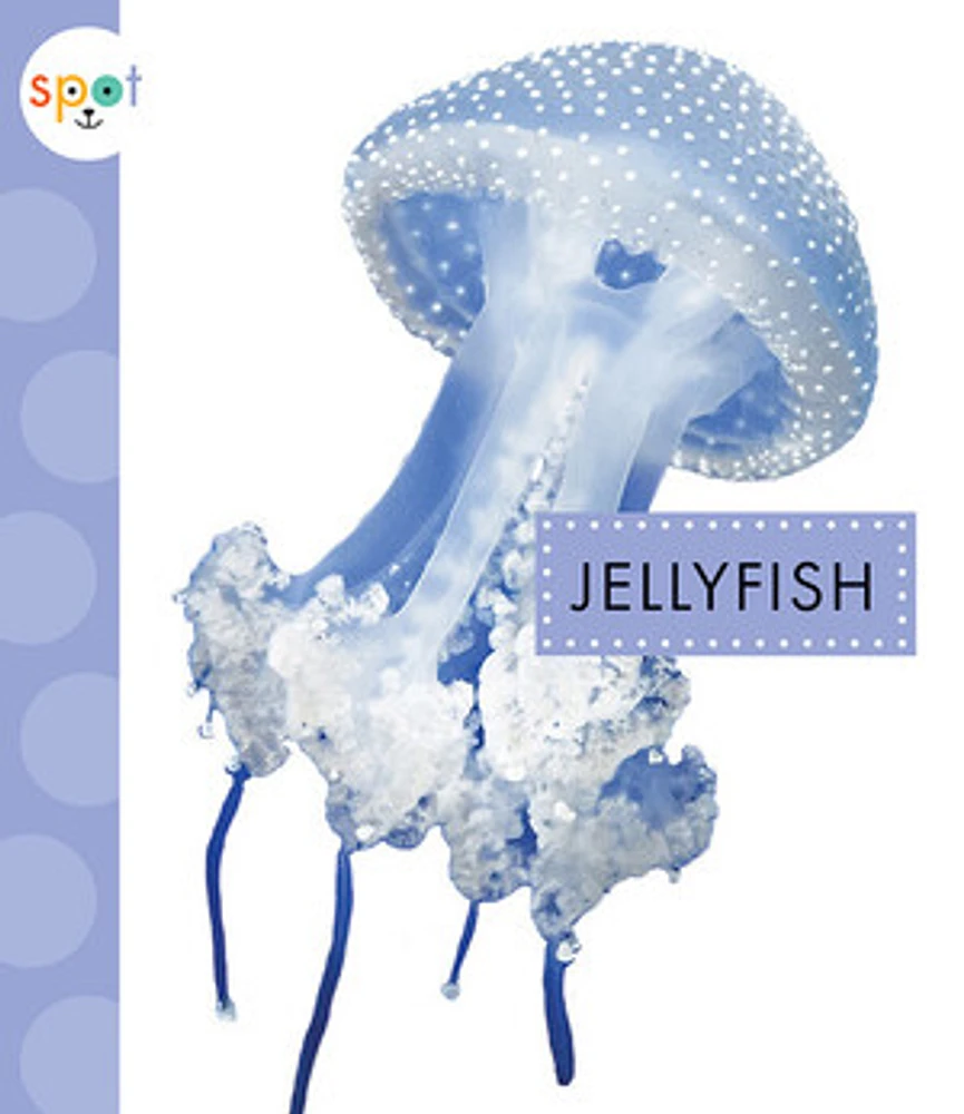 Jellyfish