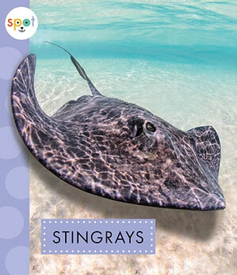 Stingrays