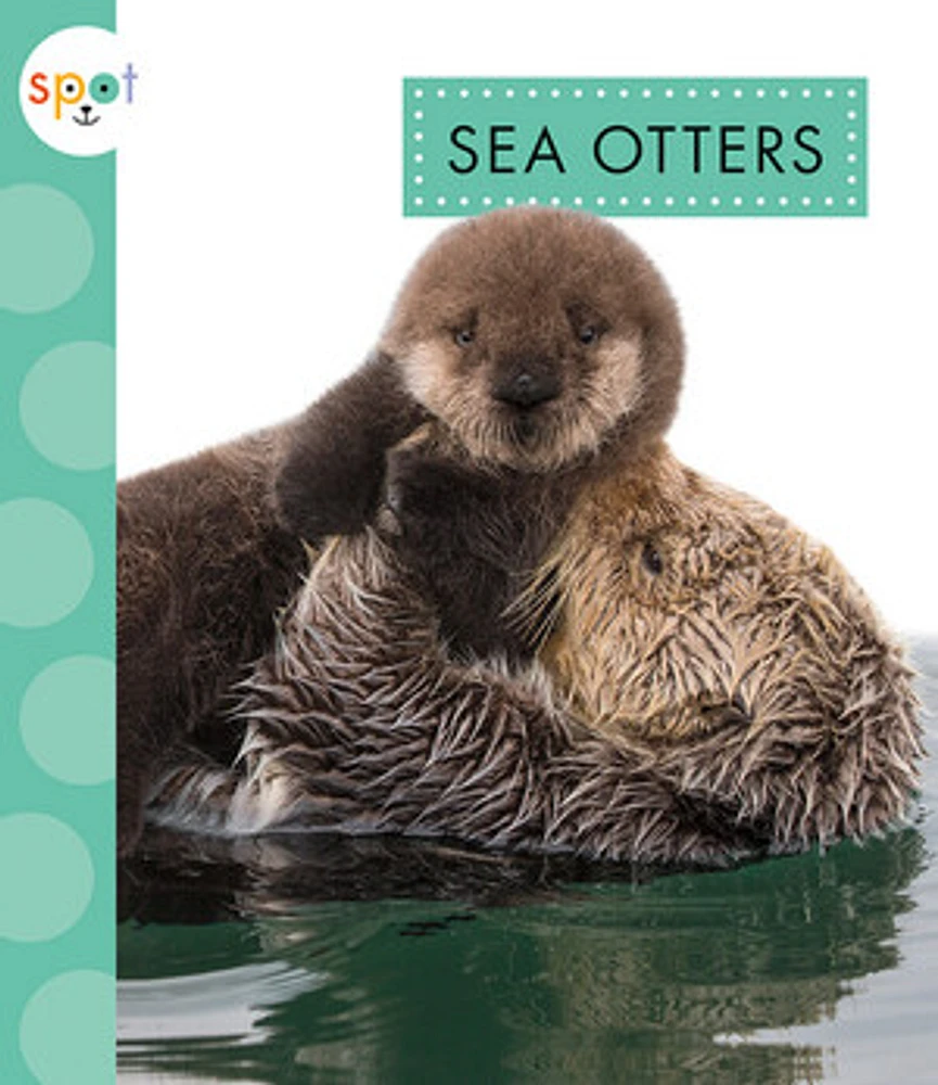 Sea Otters