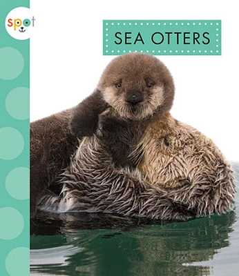 Sea Otters