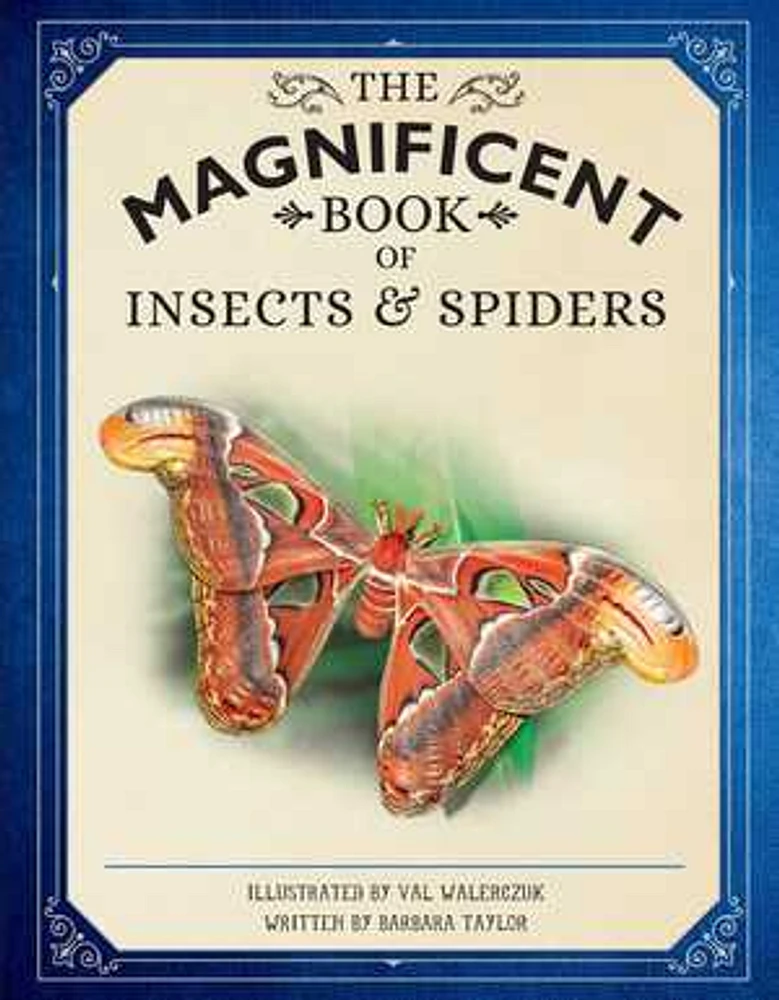 The Magnificent Book of Insects and Spiders