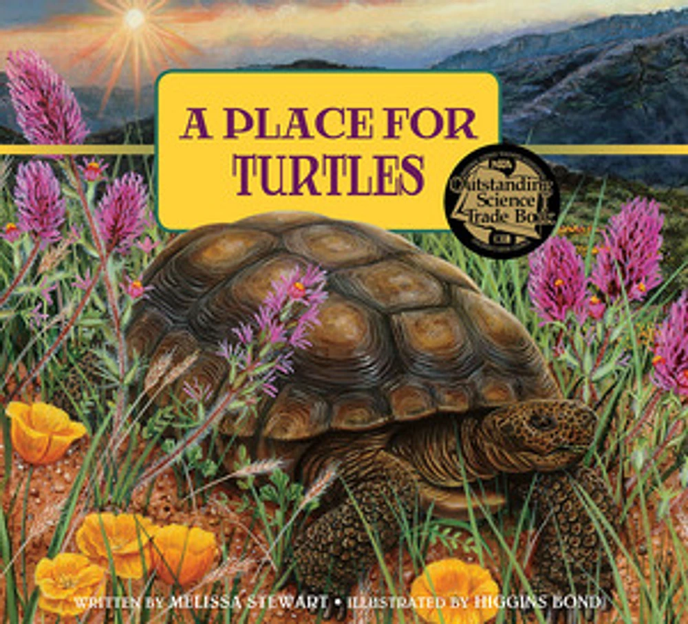 A Place for Turtles