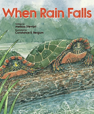 When Rain Falls