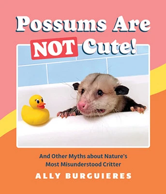 Possums Are Not Cute!