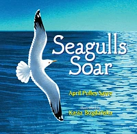 Seagulls Soar