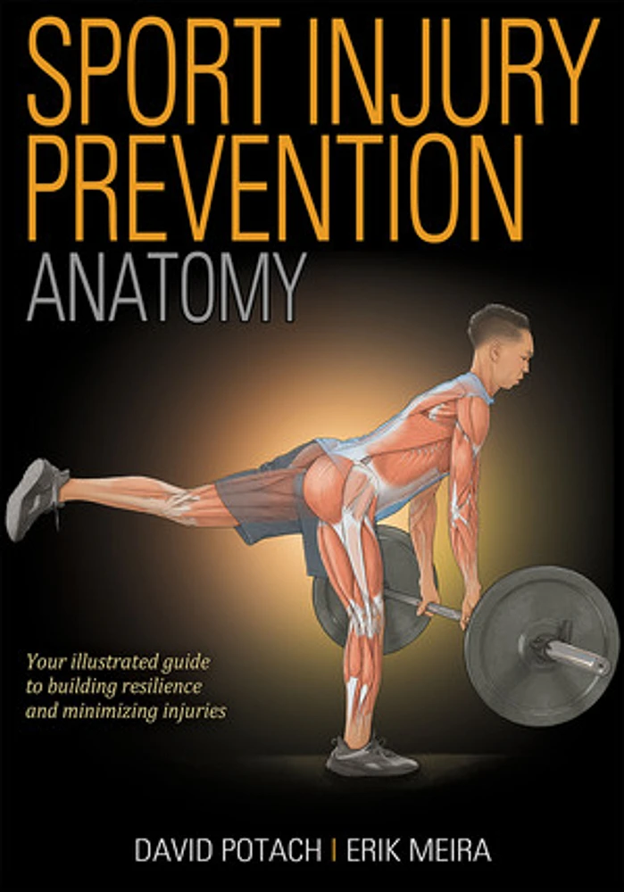 Sport Injury Prevention Anatomy