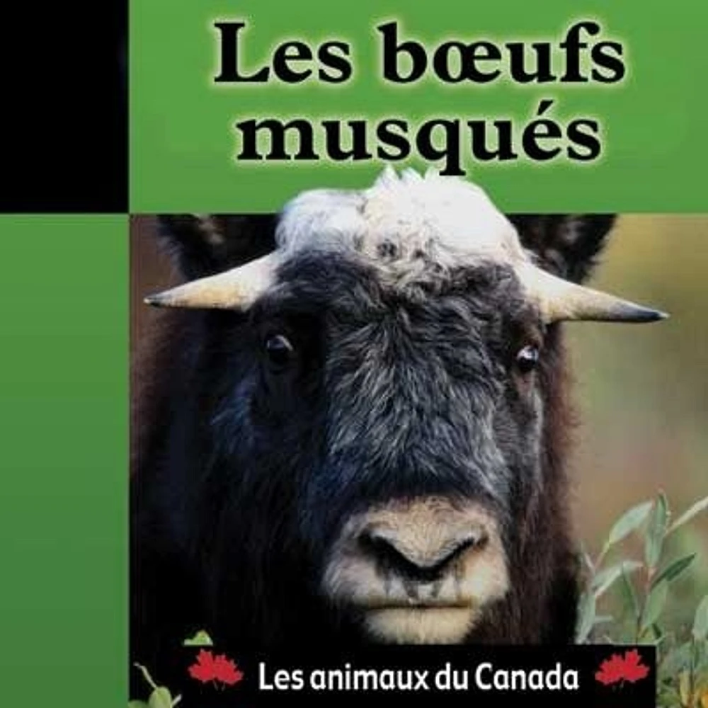 Les bÅufs musqués