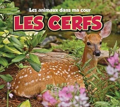 Les cerfs