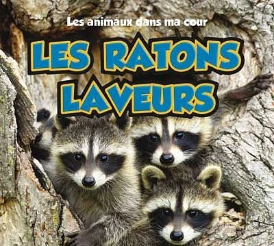 Les ratons laveurs