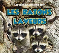 Les ratons laveurs