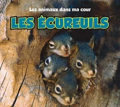 Les écureuils