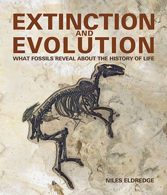 Extinction and Evolution