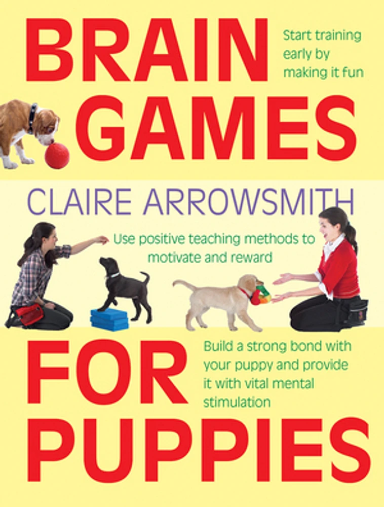 Brain Games for Puppies