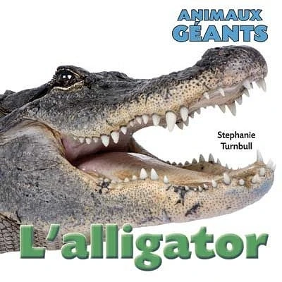 L'alligator