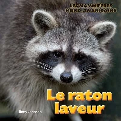 Le raton laveur