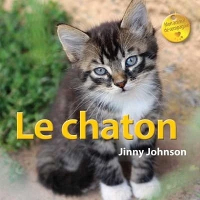 Le chaton