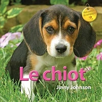 Le chiot