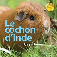 Le cochon d'Inde