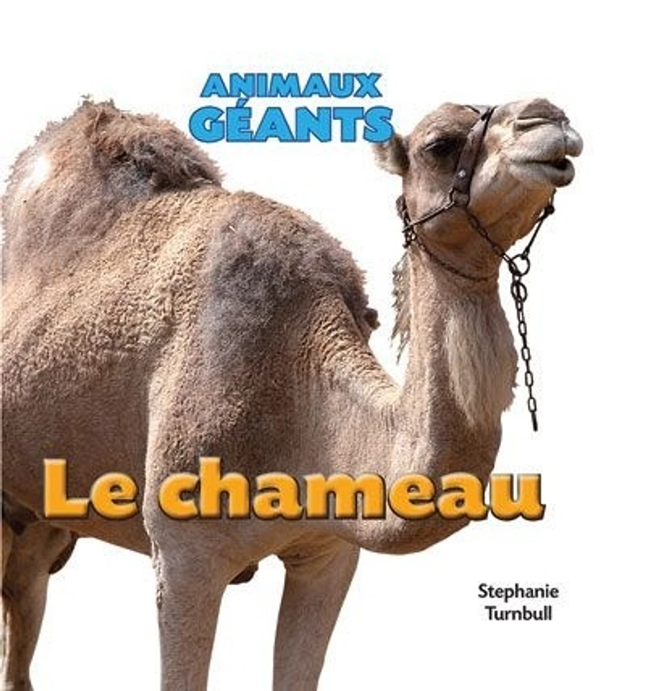 Le chameau