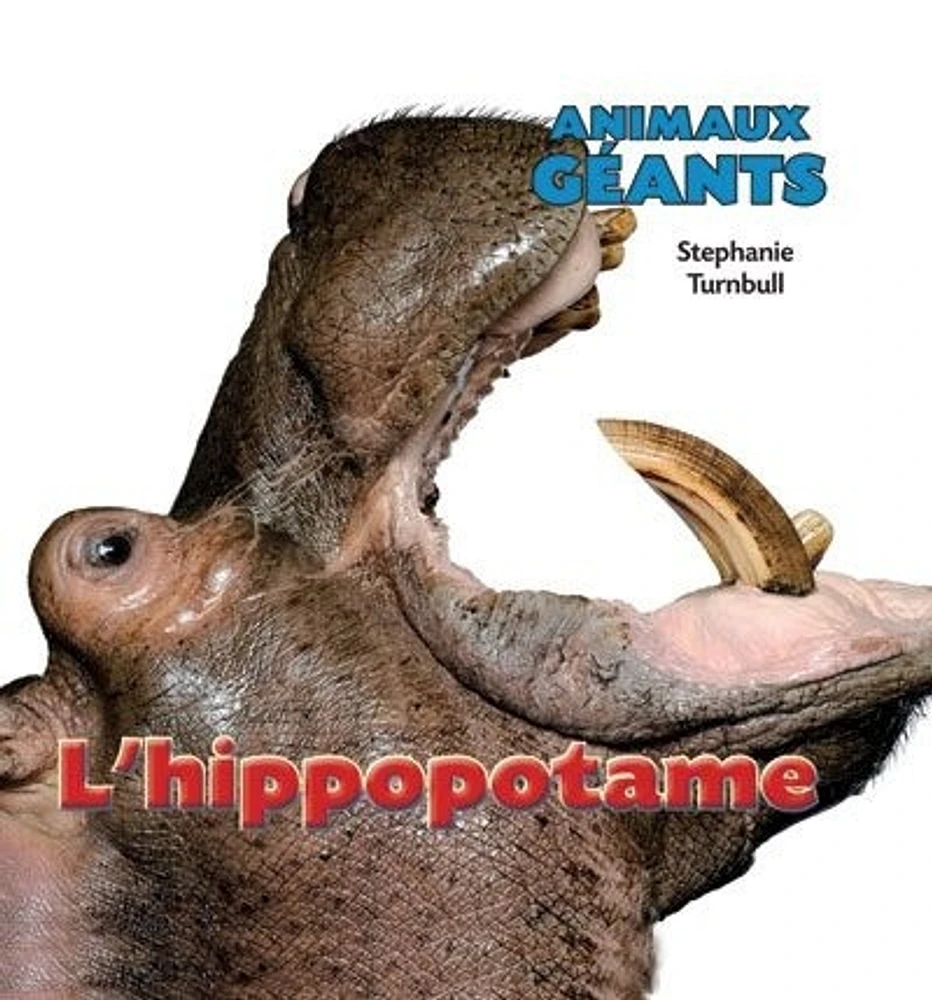 L'hippopotame