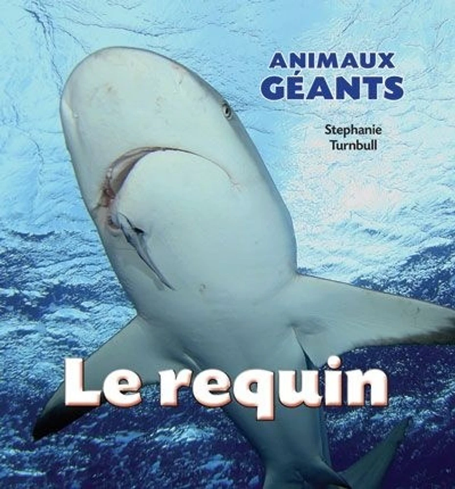 Le requin