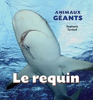 Le requin