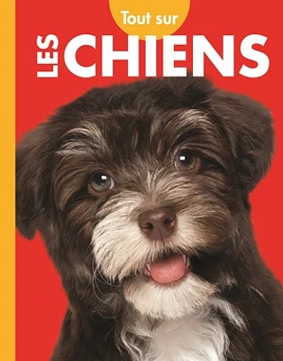 Tout sur les chiens