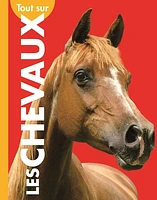 Tout sur les chevaux