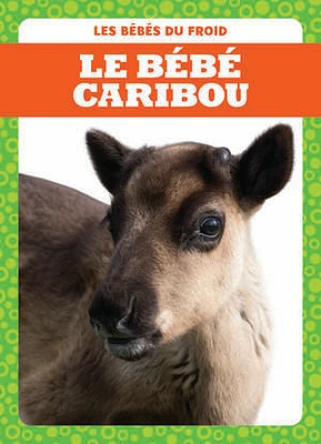 Le bébé caribou