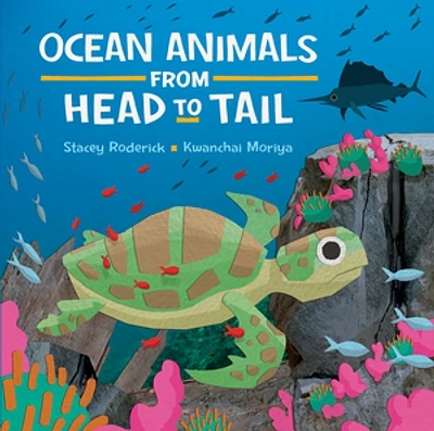 Ocean Animals from Head to Tail