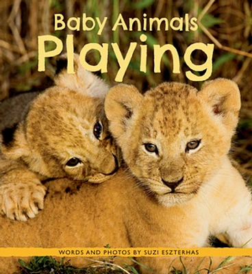 Baby Animals Playing