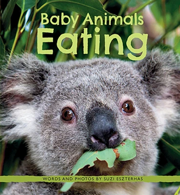 Baby Animals Eating