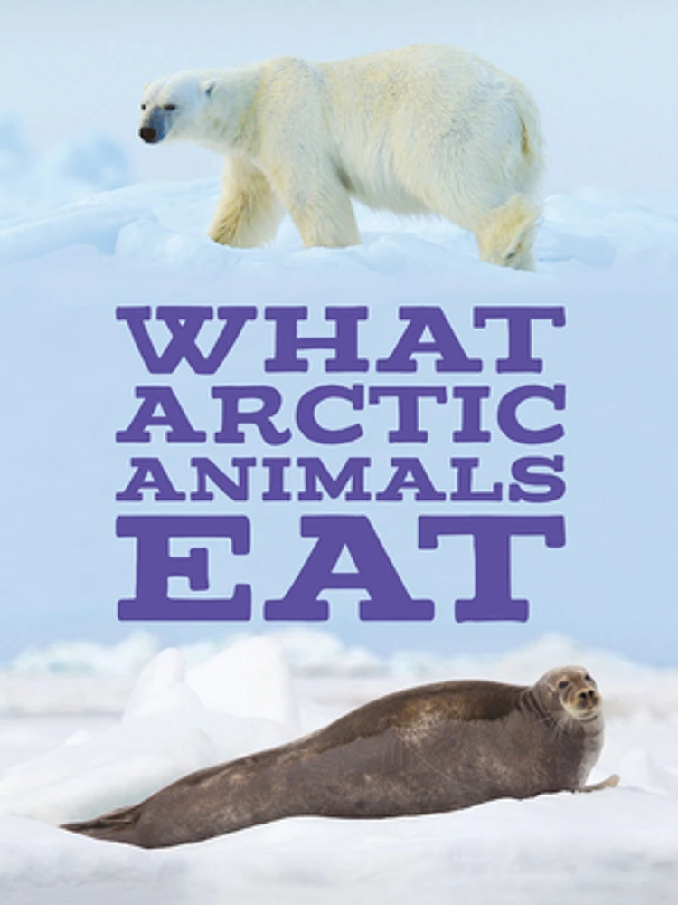 What Arctic Animals Eat