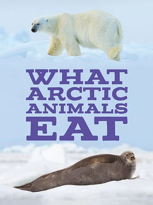 What Arctic Animals Eat