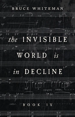 The Invisible World Is in Decline Book IX