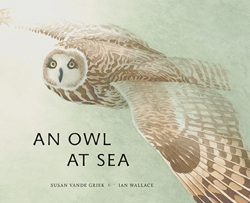 An Owl at Sea