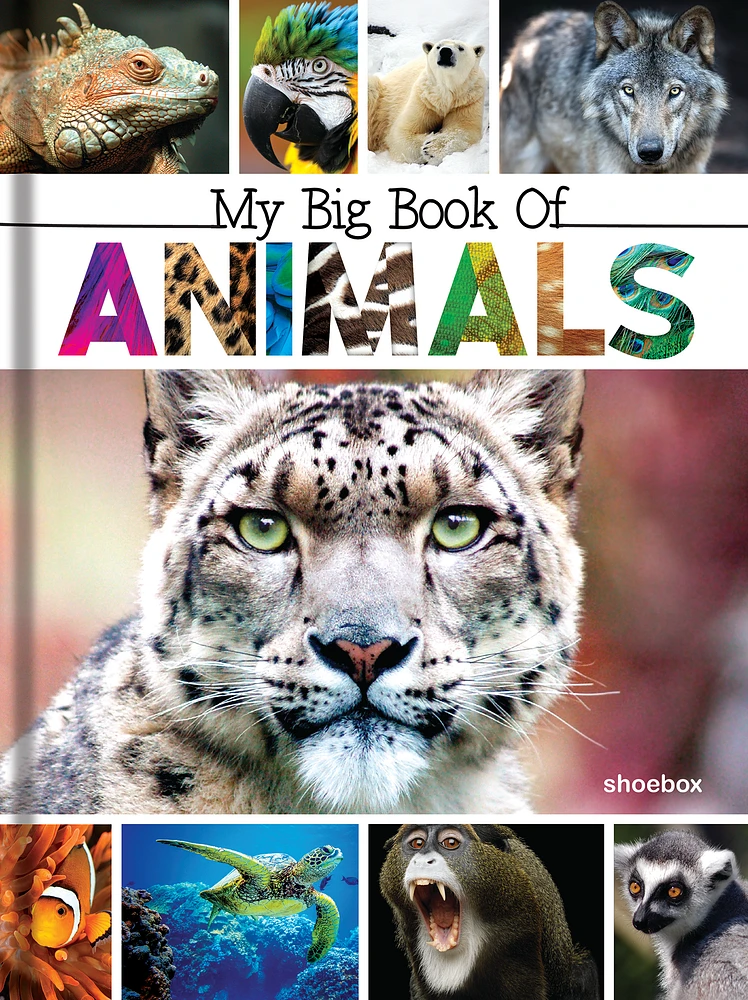 My Big Book of Animals