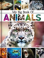 My Big Book of Animals