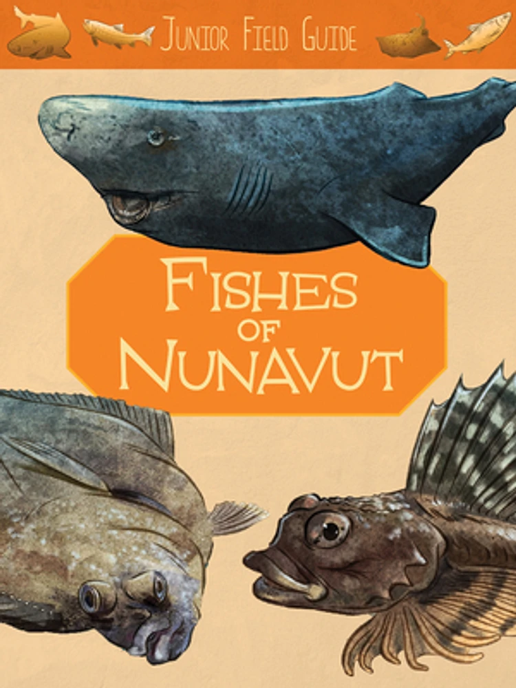 Junior Field Guide: Fishes of Nunavut