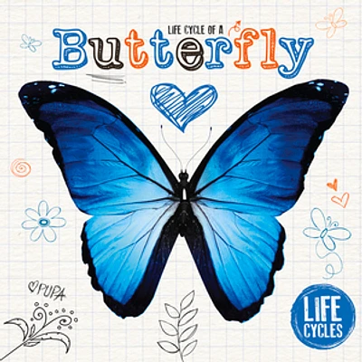 Life Cycle of a Butterfly