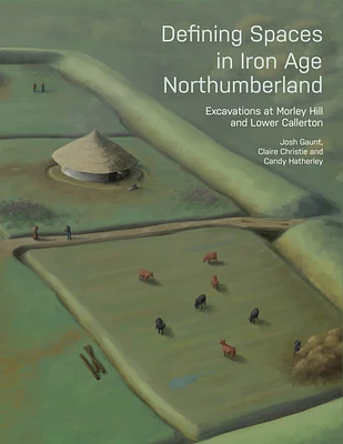 Defining Spaces in Iron Age Northumberland