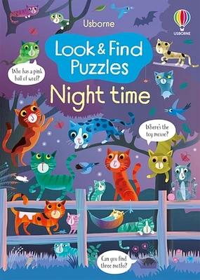 Look and Find Puzzle Night Time