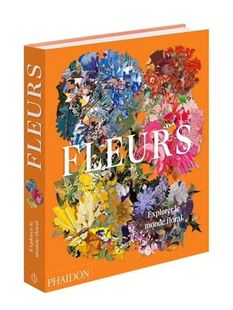 Fleurs : explorer le monde floral