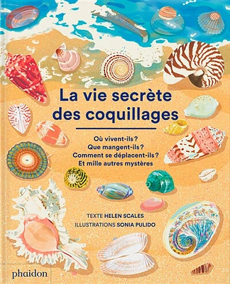 La vie secrète des coquillages: où vivent-ils ? Que mangent-ils ?