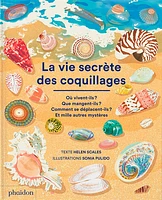 La vie secrète des coquillages: où vivent-ils ? Que mangent-ils ?